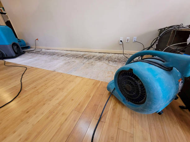 Professional Water Damage Repair technician working in Spencer, OH